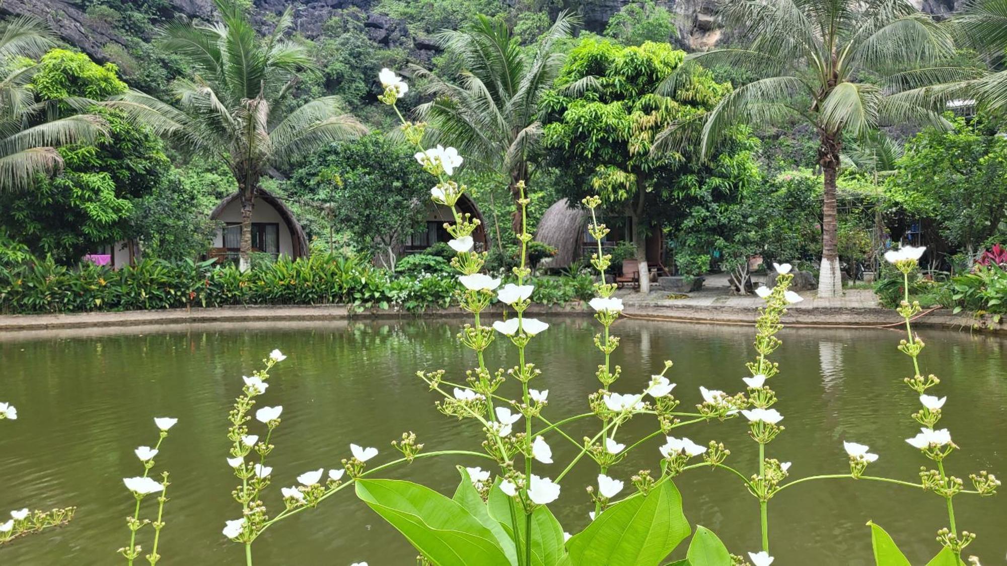 מלון נין בין Fairy Mountain Retreat מראה חיצוני תמונה