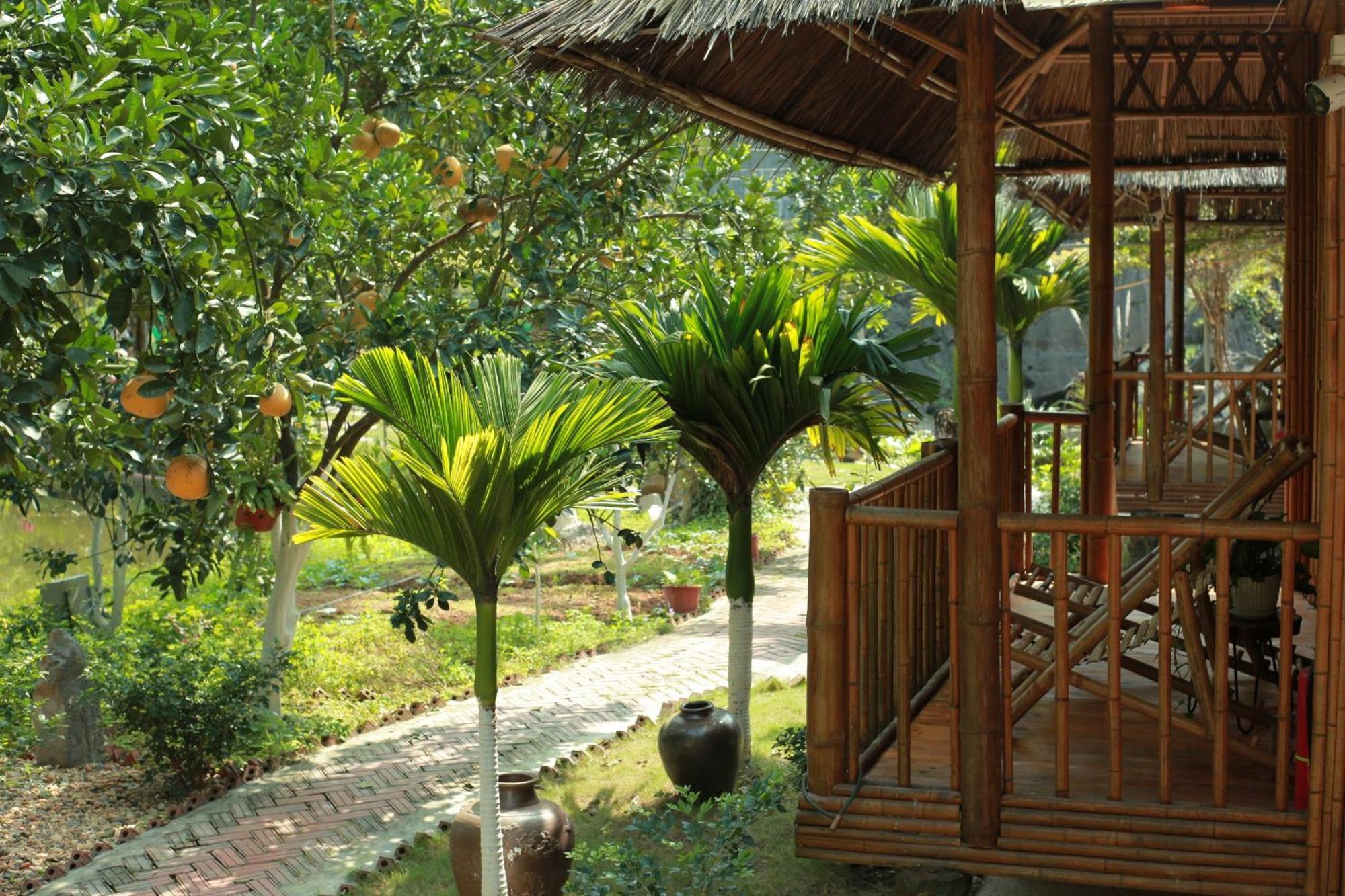מלון נין בין Fairy Mountain Retreat מראה חיצוני תמונה